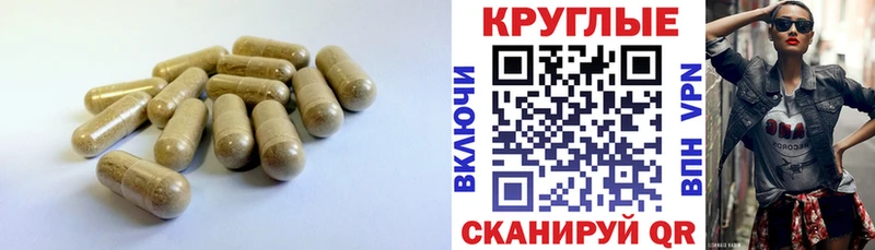Купить закладки Североморск ЭКСТАЗИ бентли