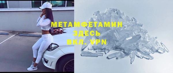 гидра Аркадак
