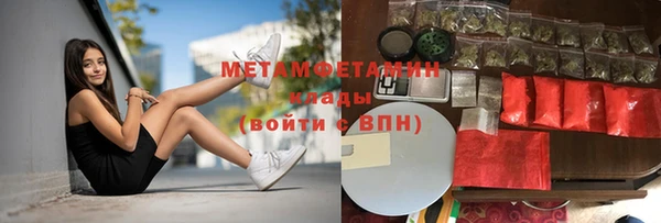 гидра Аркадак