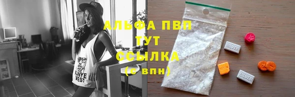 гидра Аркадак