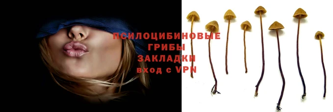 каннабис Арсеньев