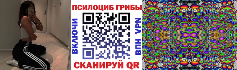 Псилоцибиновые грибы мухоморы  Купить закладки  Североморск 
